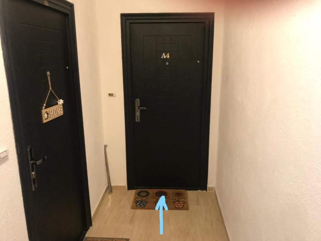Appartement Oasis By The Sea à Primorsko Extérieur photo